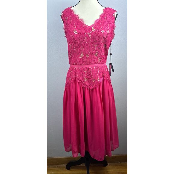 NWT Adrianna Papell Sz 8 Chiffon Lace Overlay Fit N Flare Dk Pink Zip Drop Waist - Picture 1 of 16